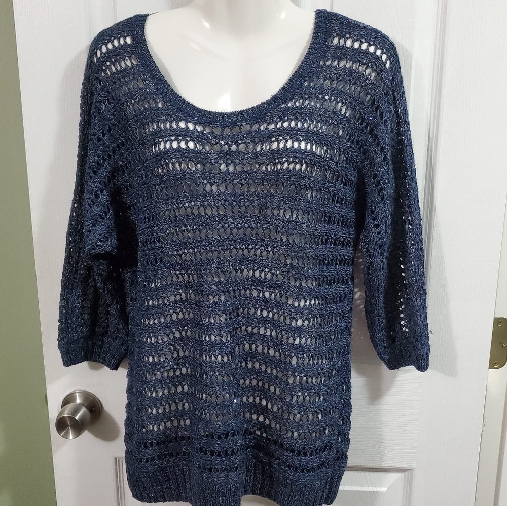 Sparkly blue sweater